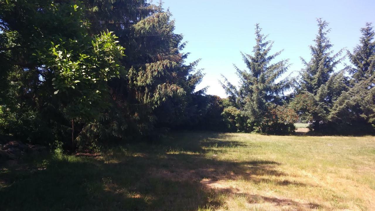 Urlaub Bei Hauenstein Apartment Born Luaran gambar