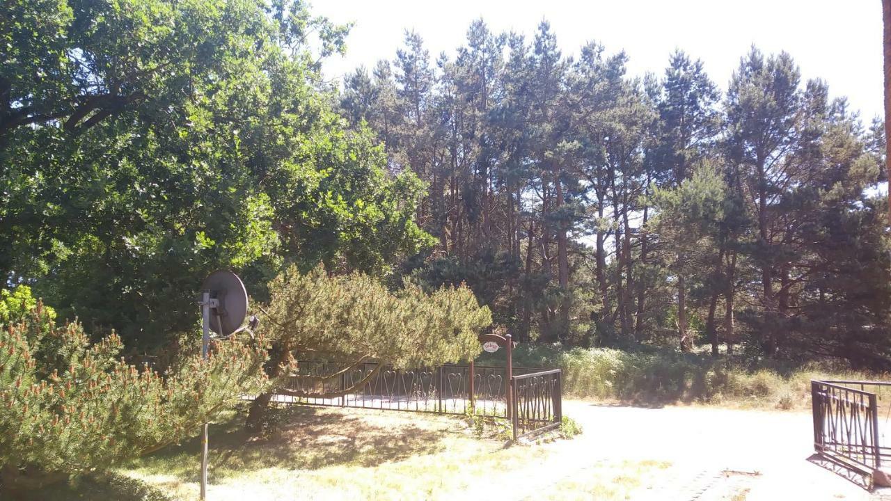 Urlaub Bei Hauenstein Apartment Born Luaran gambar