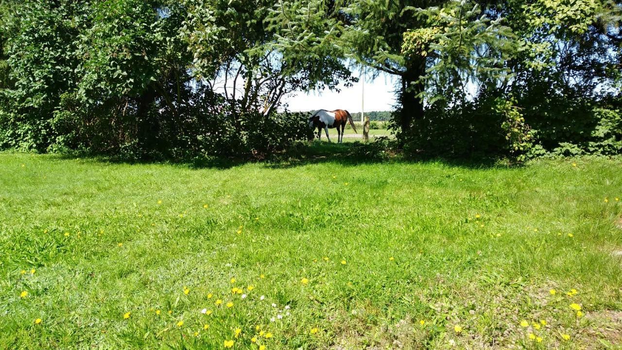 Urlaub Bei Hauenstein Apartment Born Luaran gambar